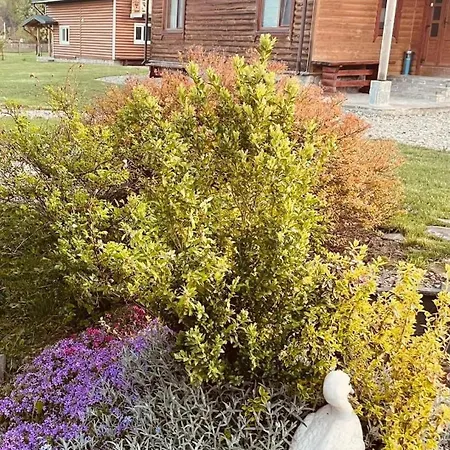 בית הארחה Karpatskyi Teremok *