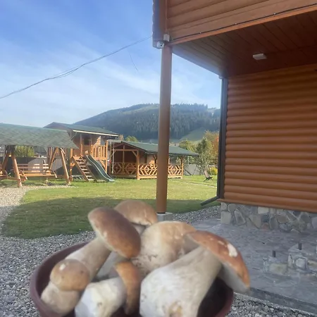 Karpatskyi Teremok Guest house