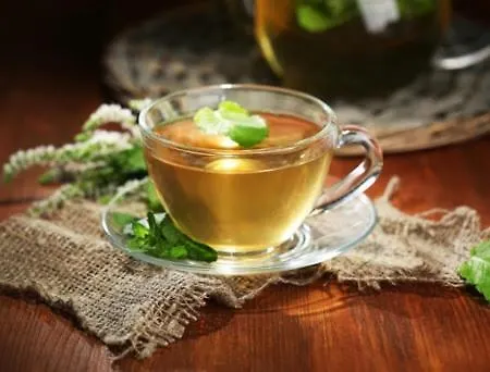 Karpatskyi Teremok 베르코비나