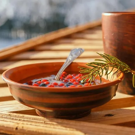 게스트하우스 Karpatskyi Teremok *