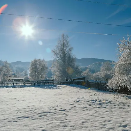 Karpatskyi Teremok 베르코비나