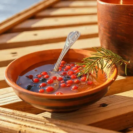 Karpatskyi Teremok 게스트하우스