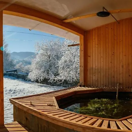 Karpatskyi Teremok Guest house