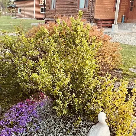 Guest house Karpatskyi Teremok *