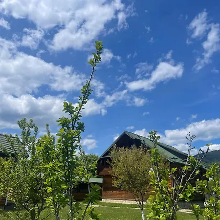 게스트하우스 Karpatskyi Teremok *