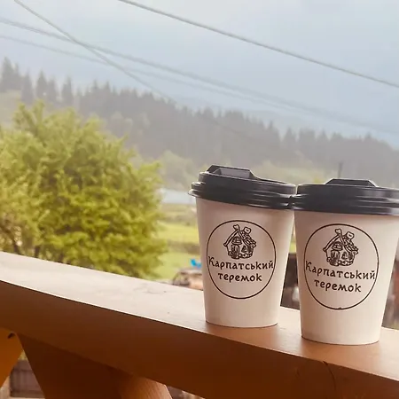 Karpatskyi Teremok 게스트하우스 *